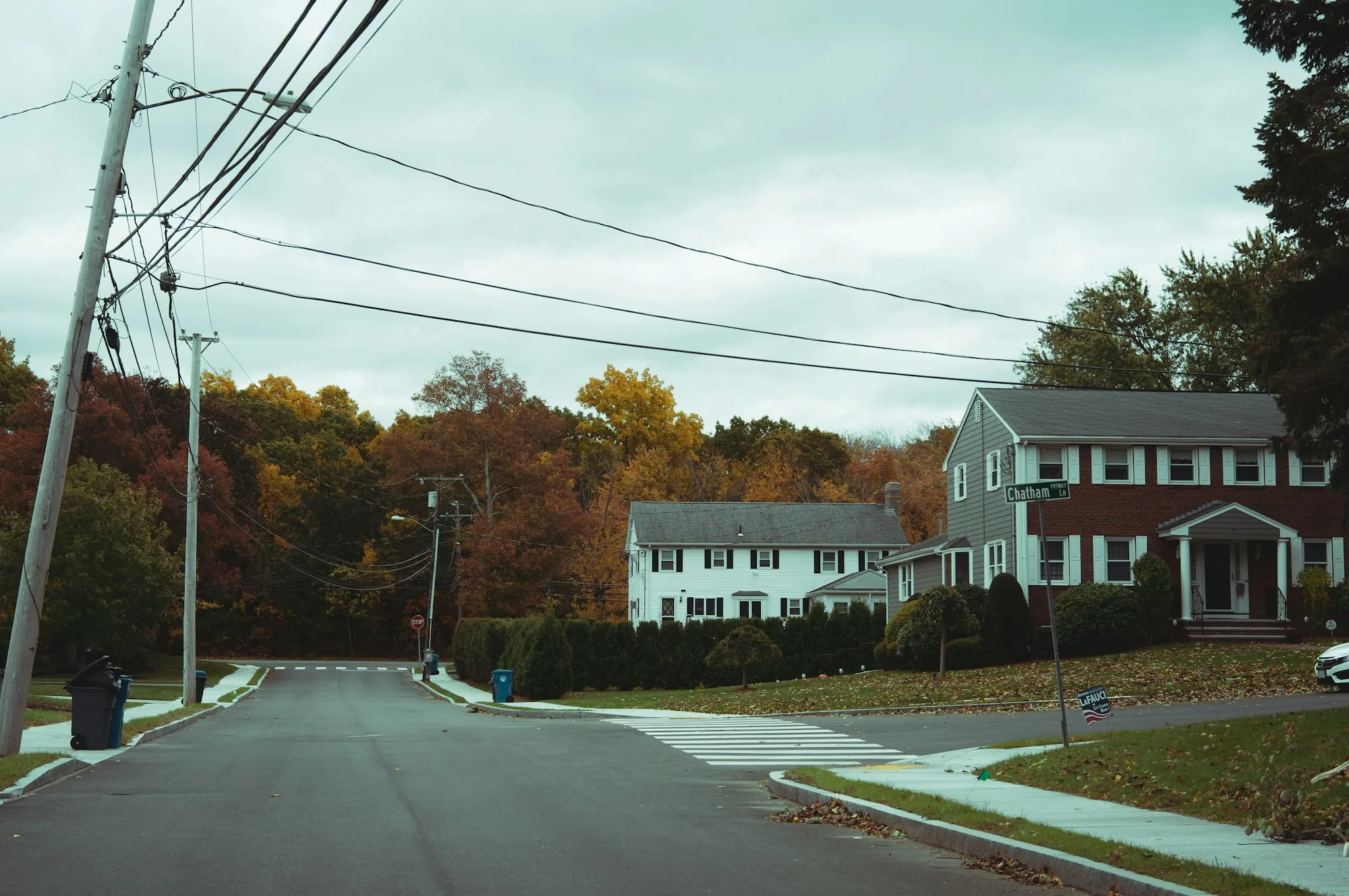 Wooded residential lane with a house set back among trees